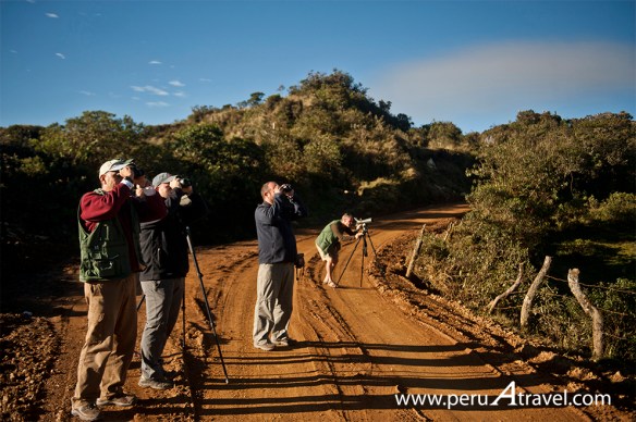 Birdwatchin Peru A Travel 4.JPG