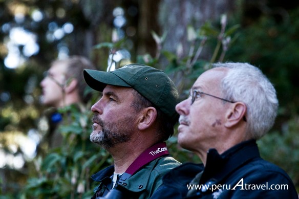 Birdwatchin Peru A Travel 5.jpg