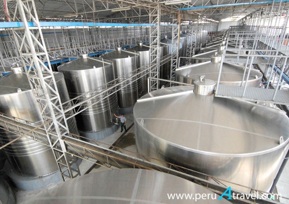 Bodega hotel queirolo.jpg