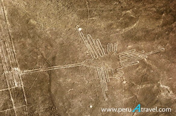 Líneas de Nasca -Colibrí.jpg