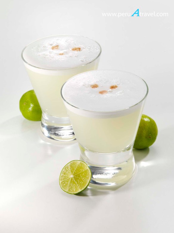 piscosour5.jpg