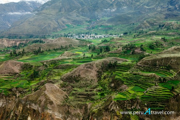 Colca -  Perú A Travel.jpg
