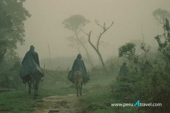 Chachapoyas gocta kuelap peruatravel.jpg